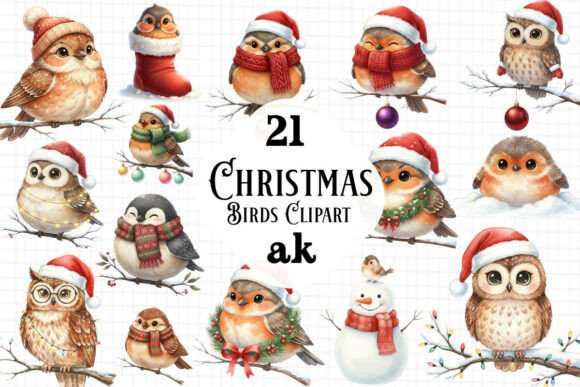 Christmas Birds Clipart Sublimation: Illustrations Review
